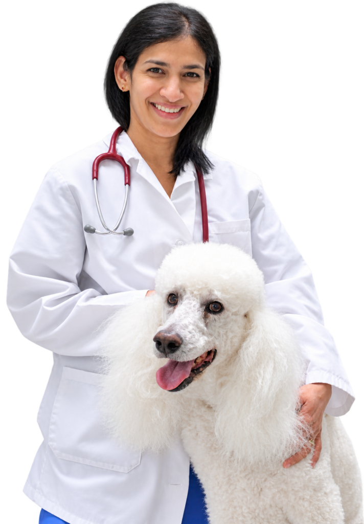 Dr. Vani Alluri