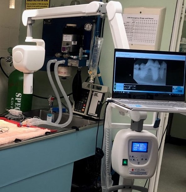 Dental X-ray Equipment