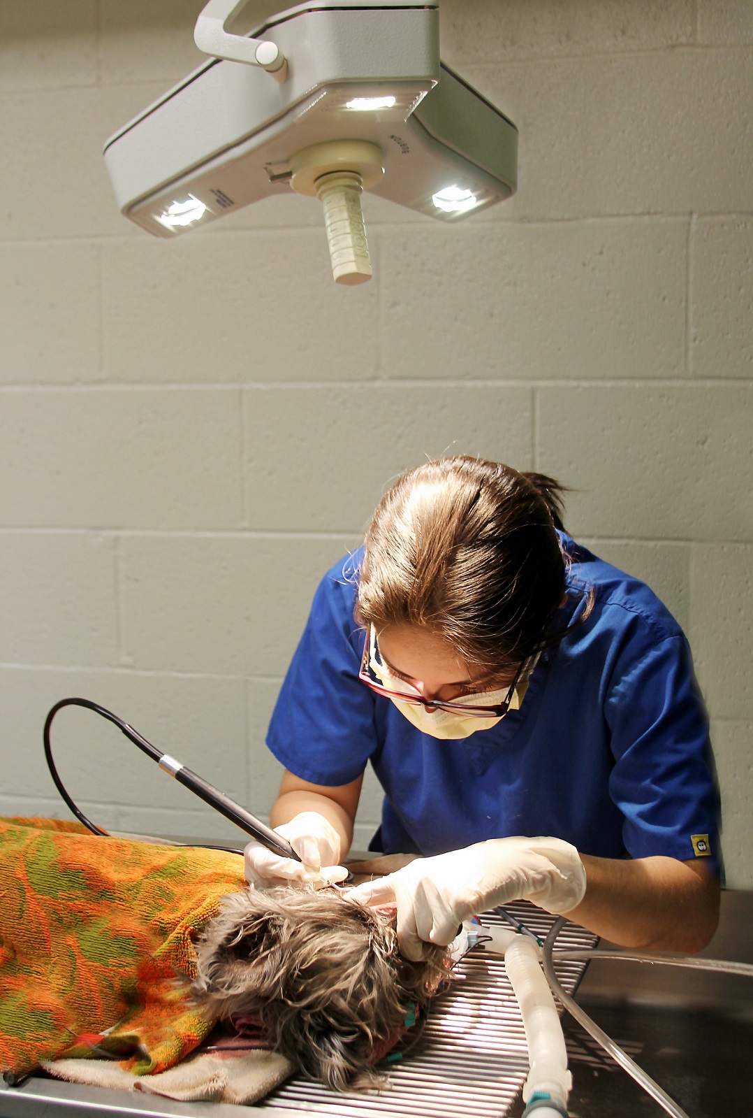 Dental Equipment
