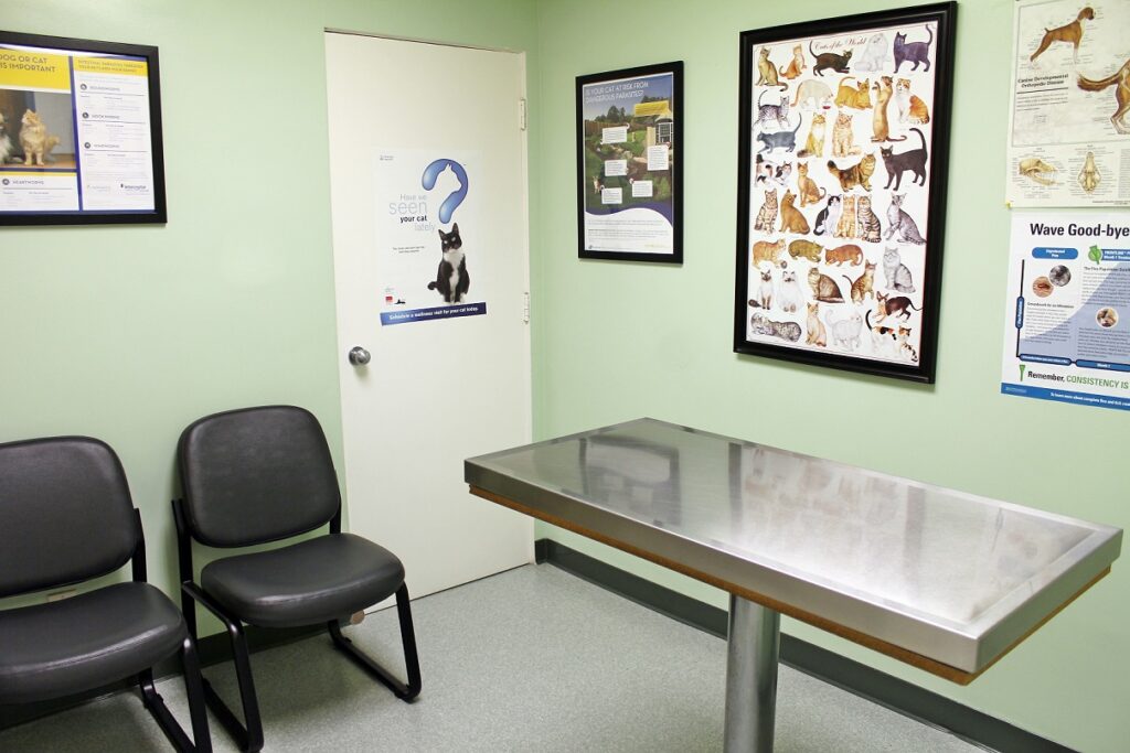 Exam_Room_Small