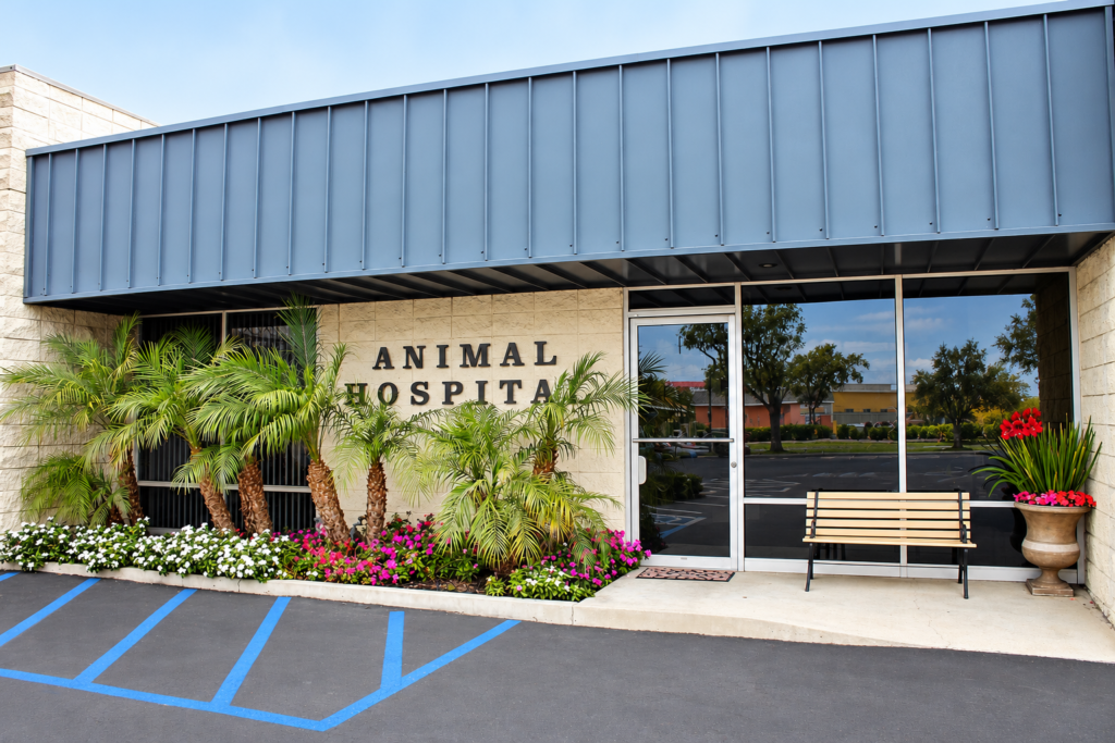 Inviting Animal Hospital Entrance